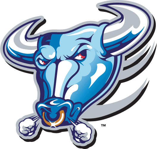 Buffalo Bulls 1997-2006 Alternate Logo iron on paper